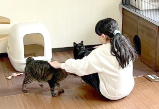 ゆきレオ保育園イントロ