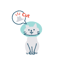 TNR避妊去勢手術